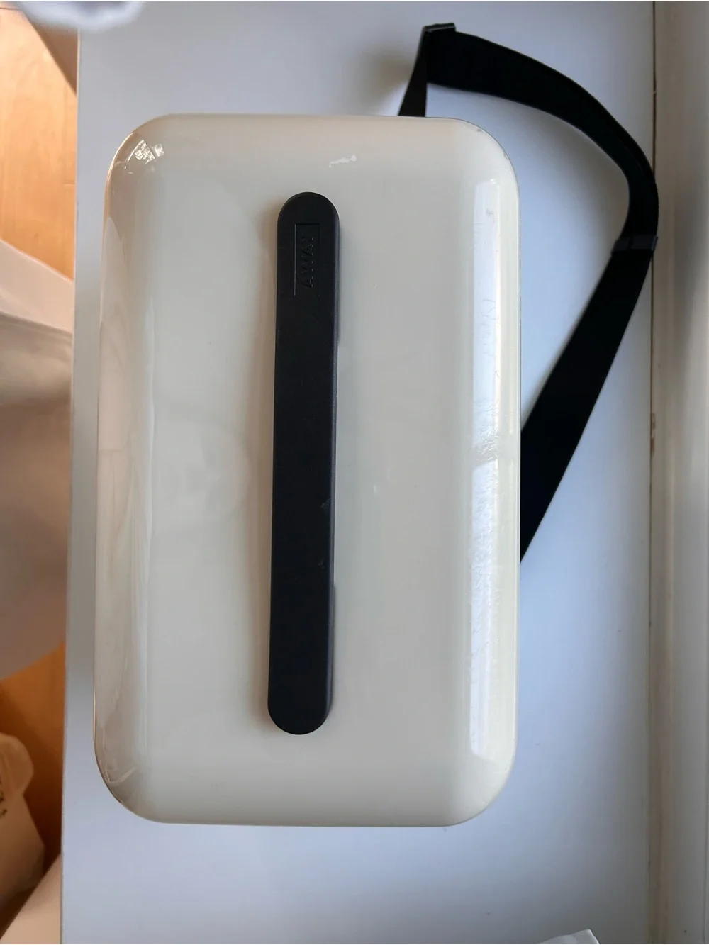 Away Train Case in Salt